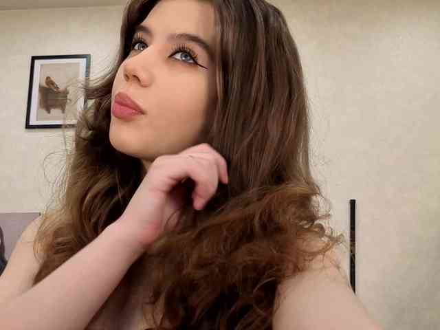dolly-ll webcam