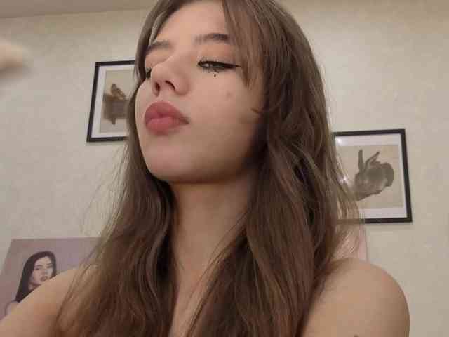 dolly-ll webcam