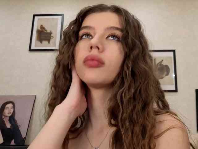 dolly-ll webcam