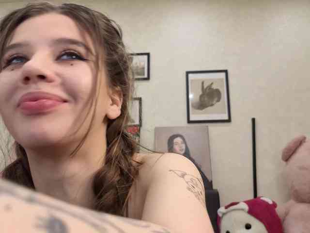 dolly-ll webcam