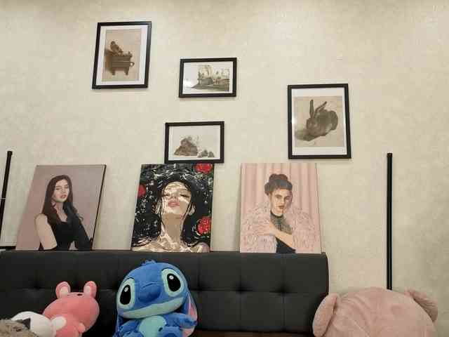 dolly-ll webcam