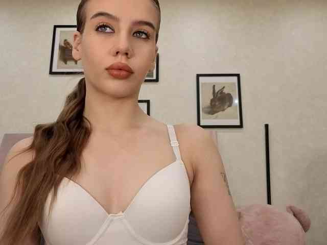 dolly-ll webcam