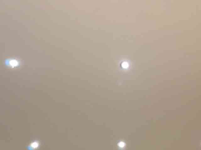 dolly-ll webcam