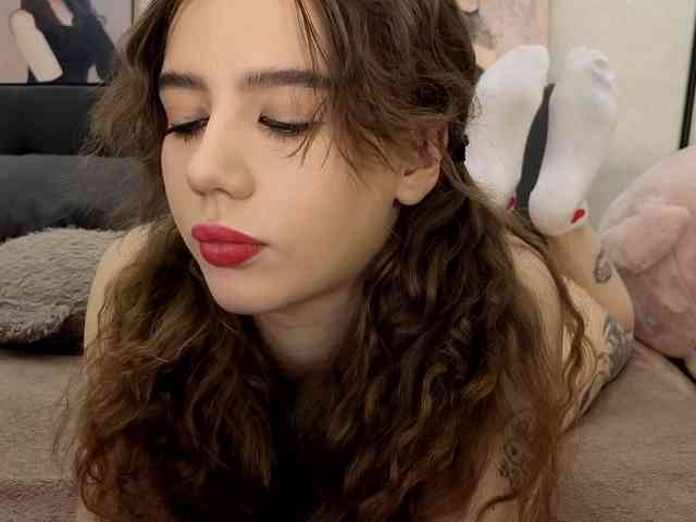 dolly-ll webcam