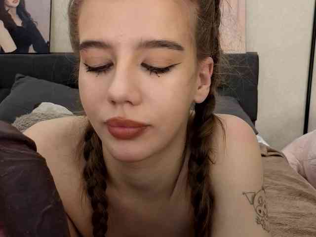 dolly-ll webcam