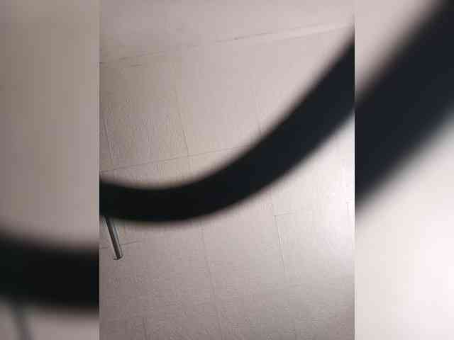 Kakdelaman webcam