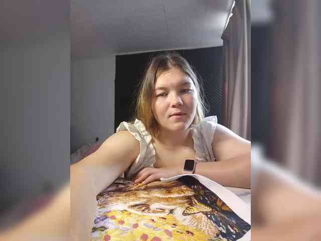 Kakdelaman webcam