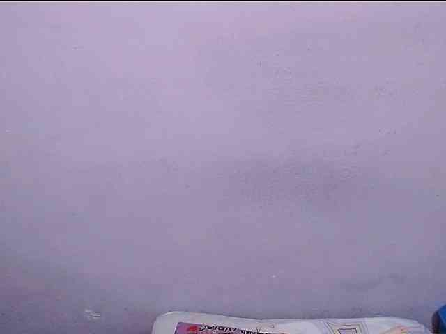 Maxlayla webcam