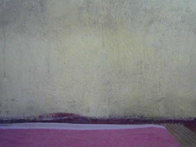ricaah