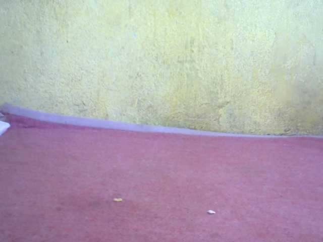 ricaah