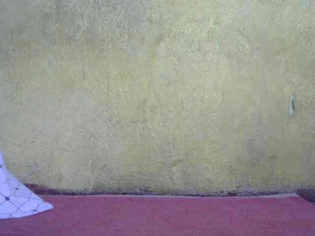 ricaah webcam