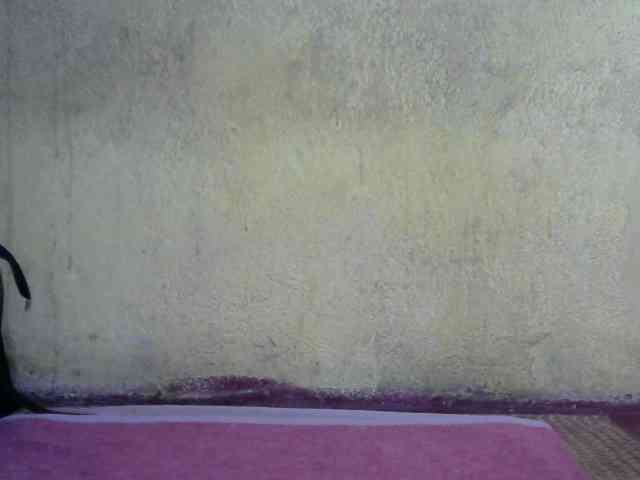 ricaah