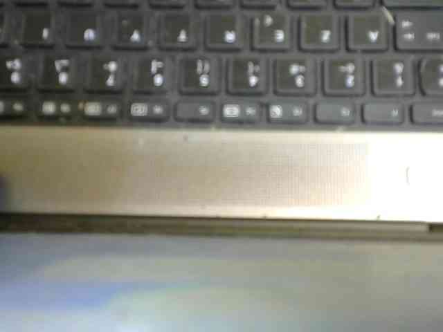 ricaah webcam