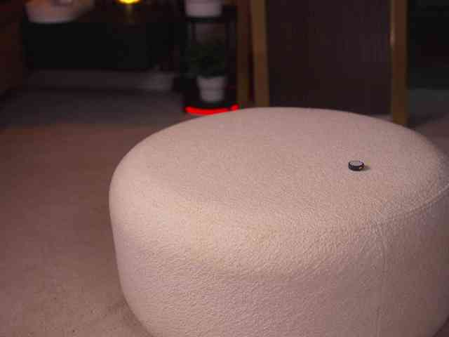 online sex cam Lexi-Reed