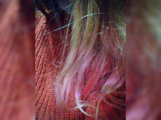 _Malaya_ webcam