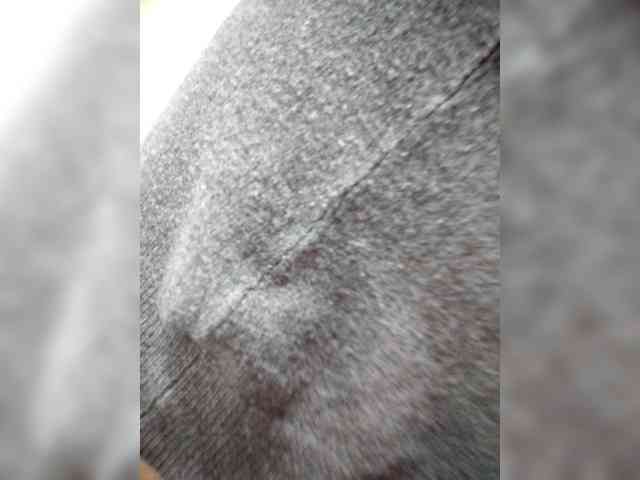 _Malaya_ webcam