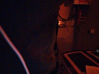 betruetoyourheart Porn Show