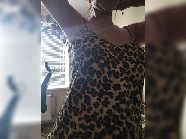 betruetoyourheart live cam on BongaCams