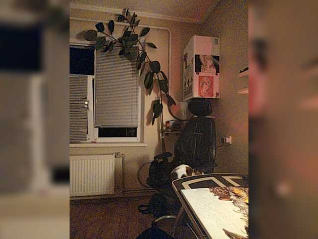 betruetoyourheart live cam on BongaCams