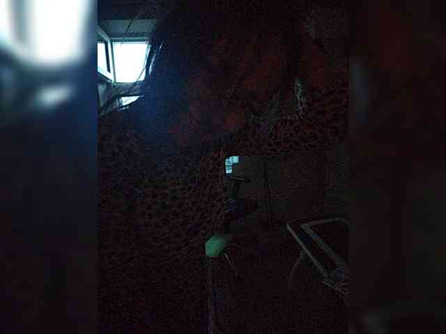 betruetoyourheart webcam