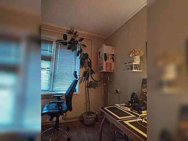 betruetoyourheart webcam