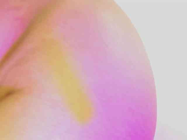 melissa-horney webcam