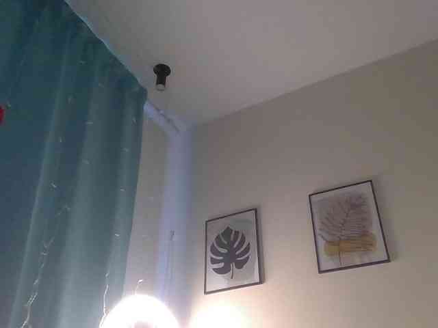 WomenS webcam