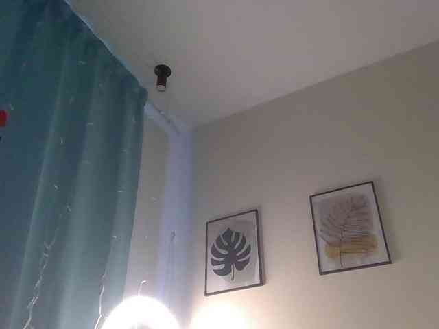 WomenS webcam