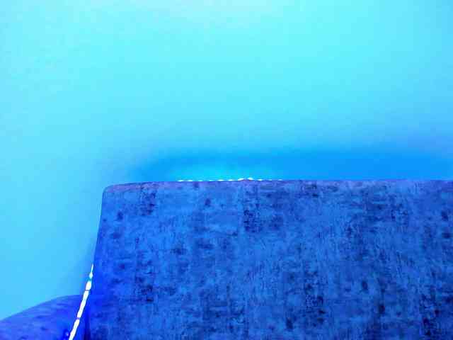 Niki-White webcam