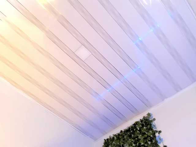 flylia01