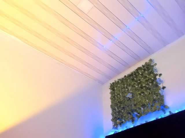 flylia01