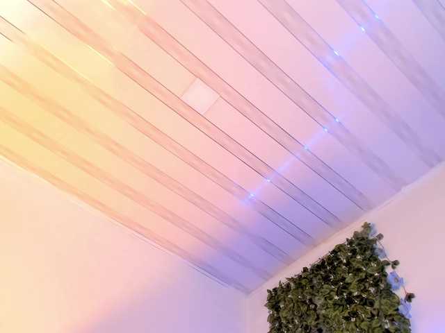 flylia01 — live female cam