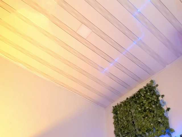 flylia01 live cam on BongaCams
