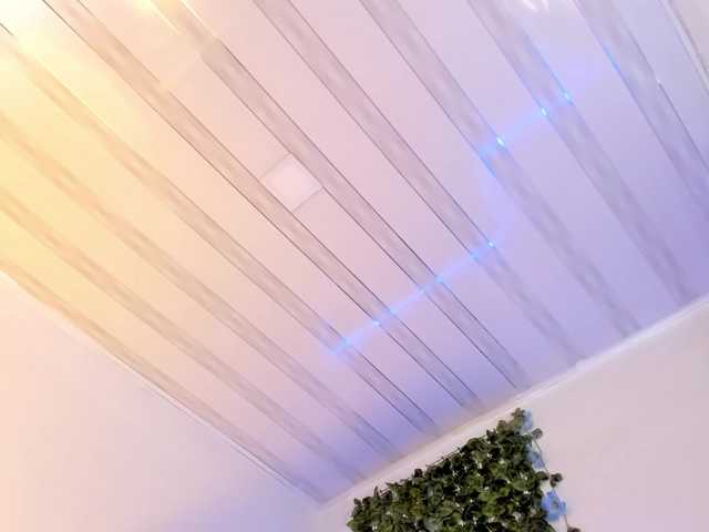 flylia01