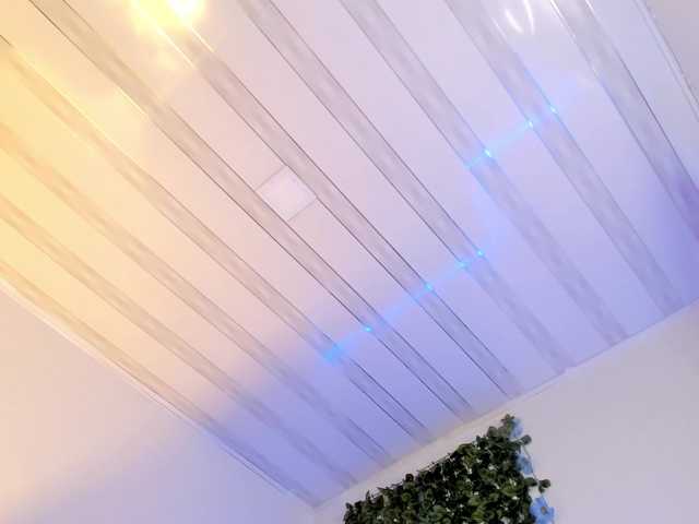 flylia01