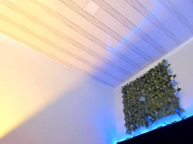 flylia01 live cam on BongaCams