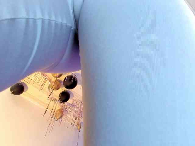 flylia01 webcam