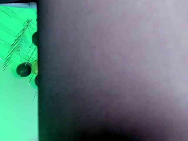 flylia01 webcam