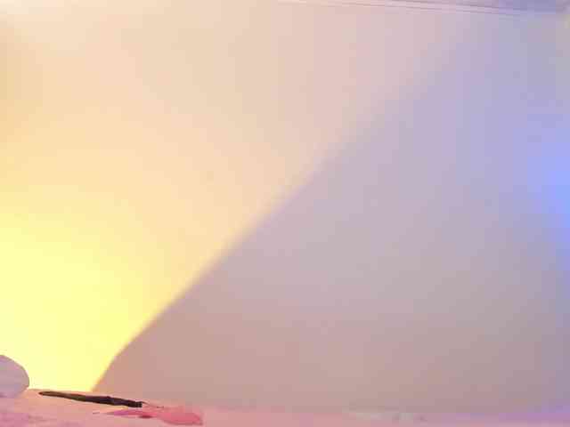 flylia01 webcam