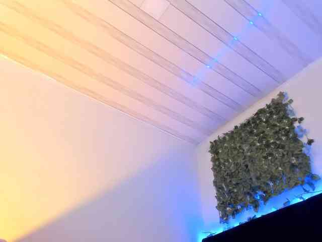 flylia01
