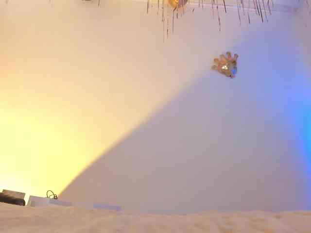 flylia01 webcam
