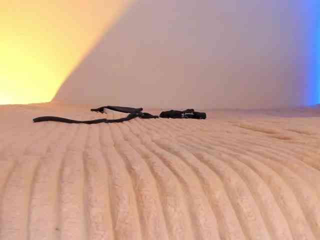 flylia01 webcam