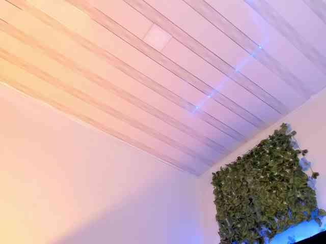 flylia01 webcam