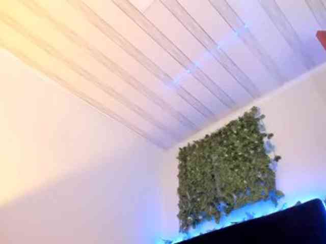 flylia01 webcam