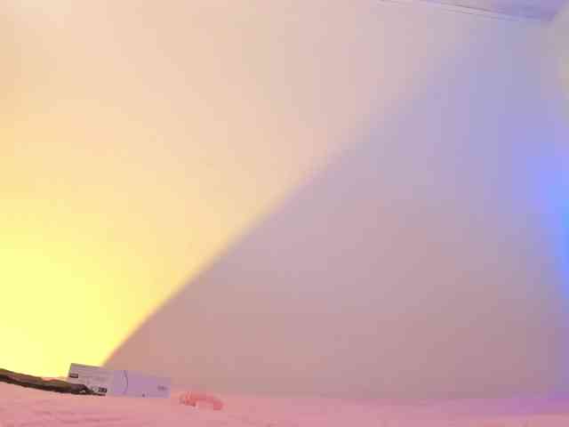 flylia01 webcam