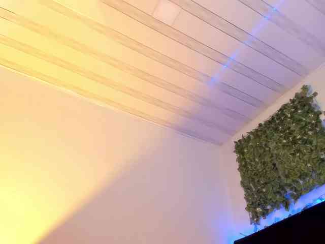 flylia01 webcam