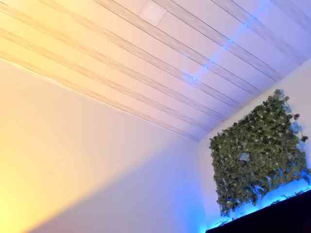flylia01