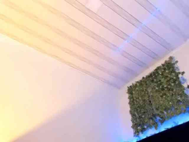 flylia01 webcam