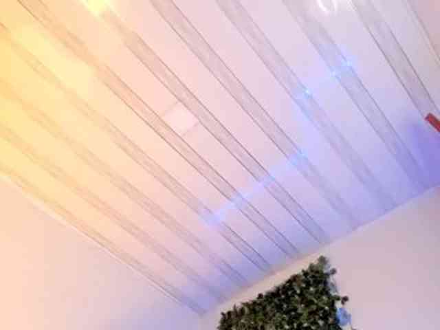 flylia01 webcam