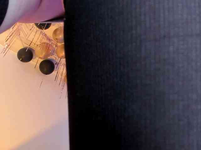 flylia01 webcam